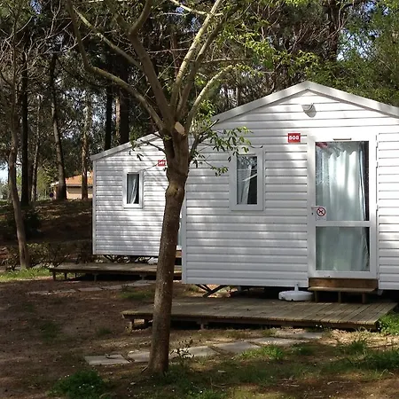 Parque De Campismo Orbitur Madalena 5*