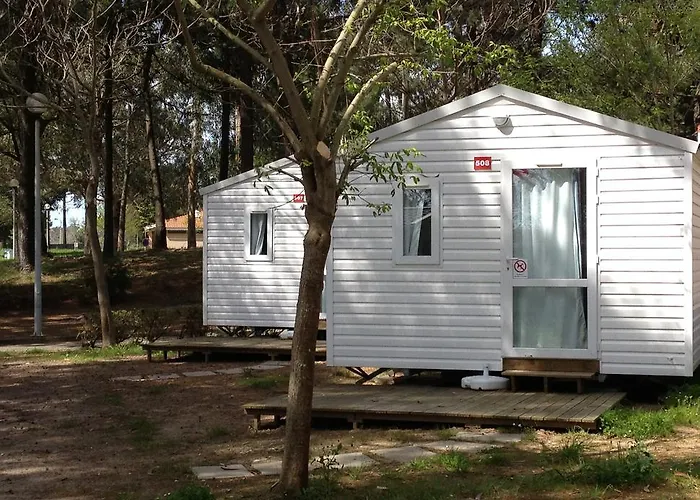 Parque De Campismo Orbitur Madalena 5*